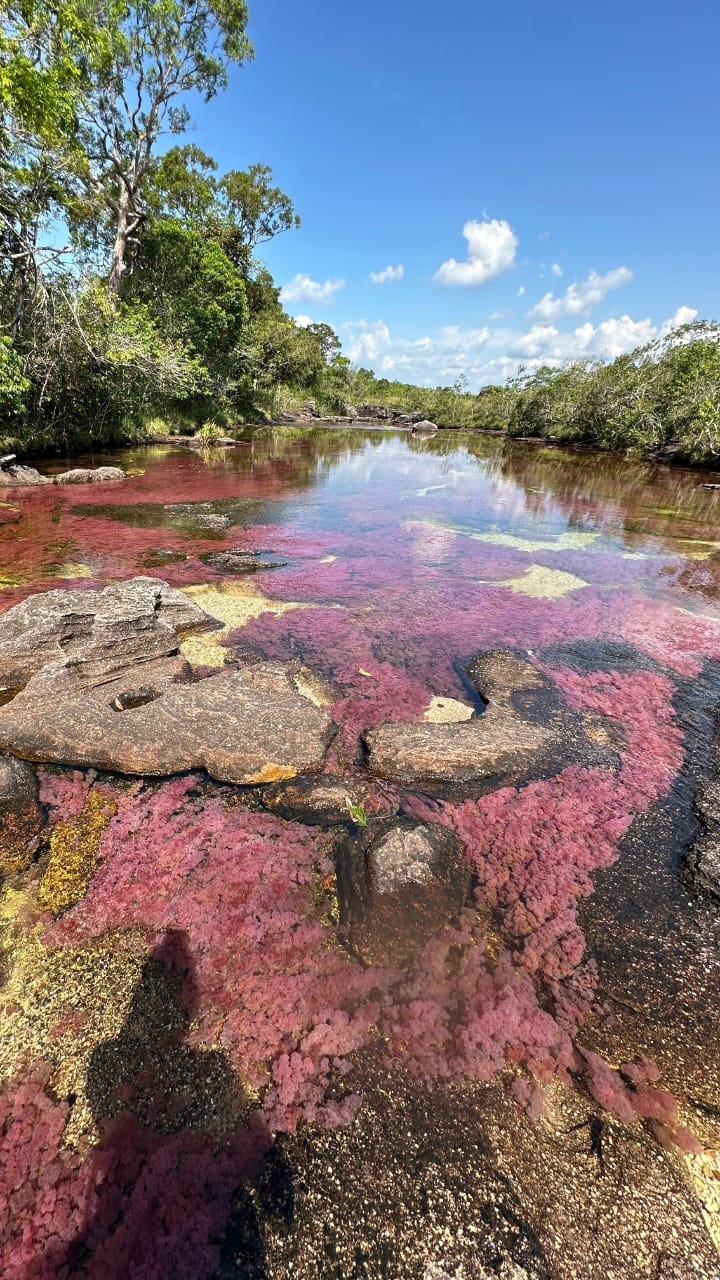 copy-of-cano-cristales