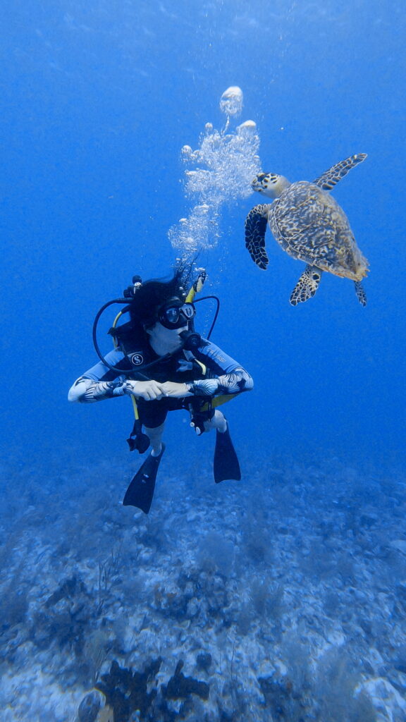 Buceo en San Andrés