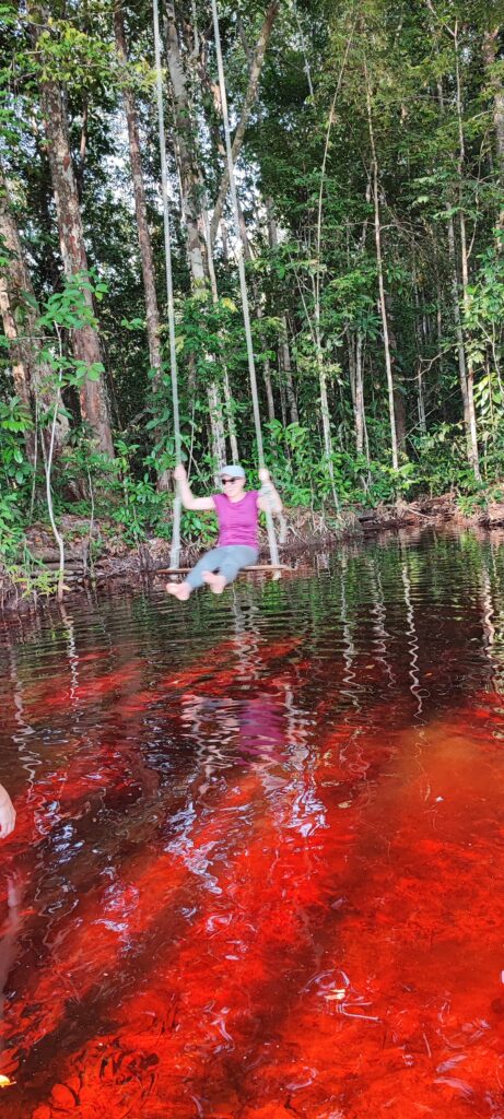 Cerros de Mavicure Guainía Inírida Amazonía Selva Cerros de Mavecure