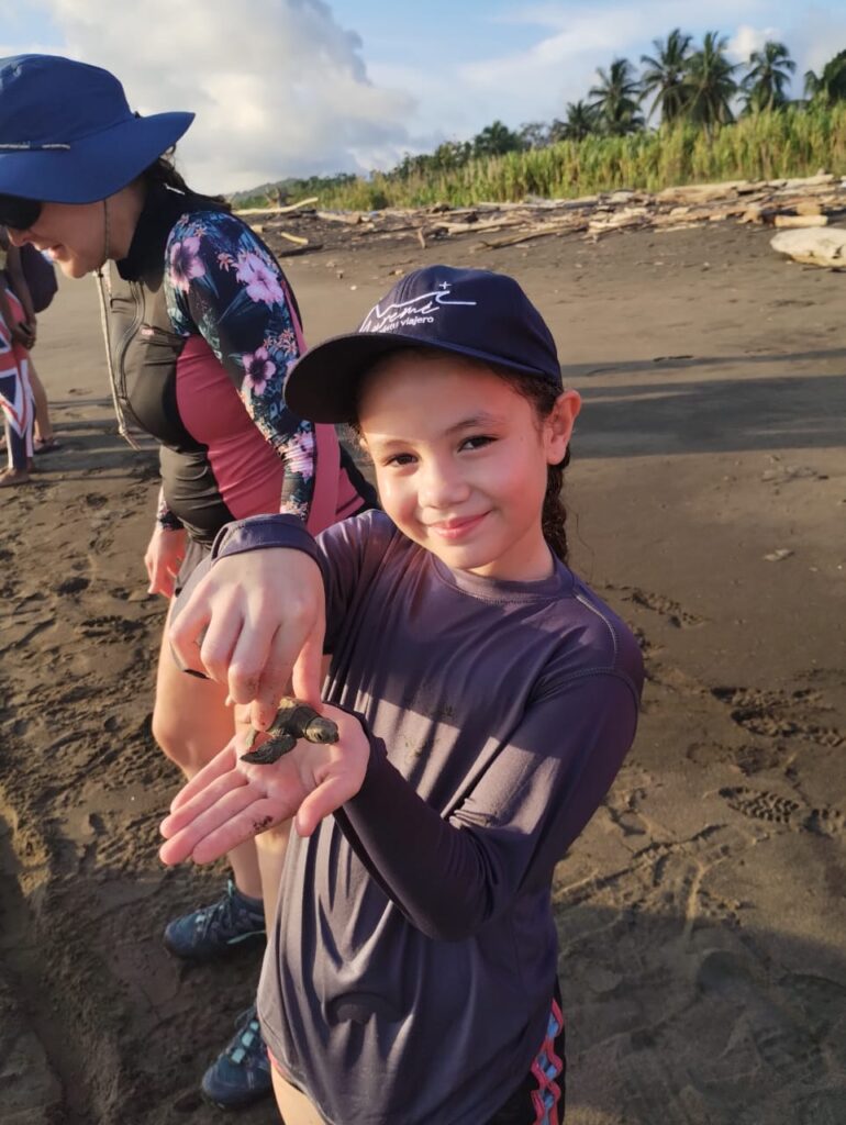 Tortugas marinas Liberación de tortugas Bahía Solano Nuquí