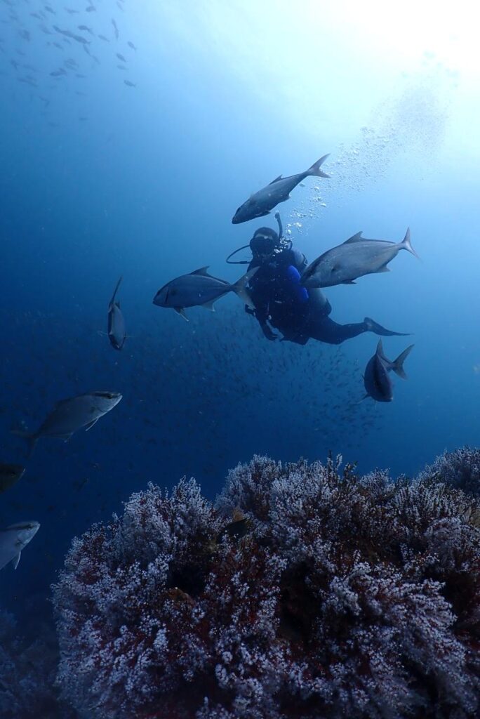 Buceo Buceo en el Pacífico