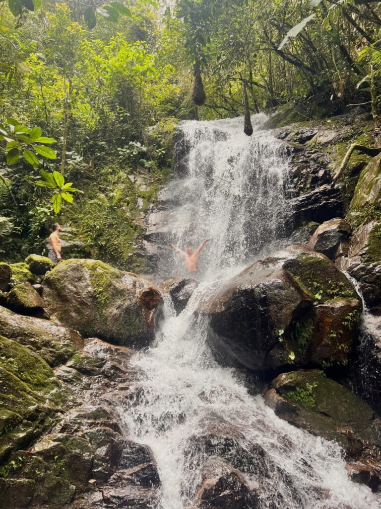 Naturaleza Cascada Cascada el Palo Envigado Bosque