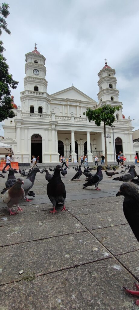 Envigado Gastronomía Frutas Mercado Parque principal de Envigado